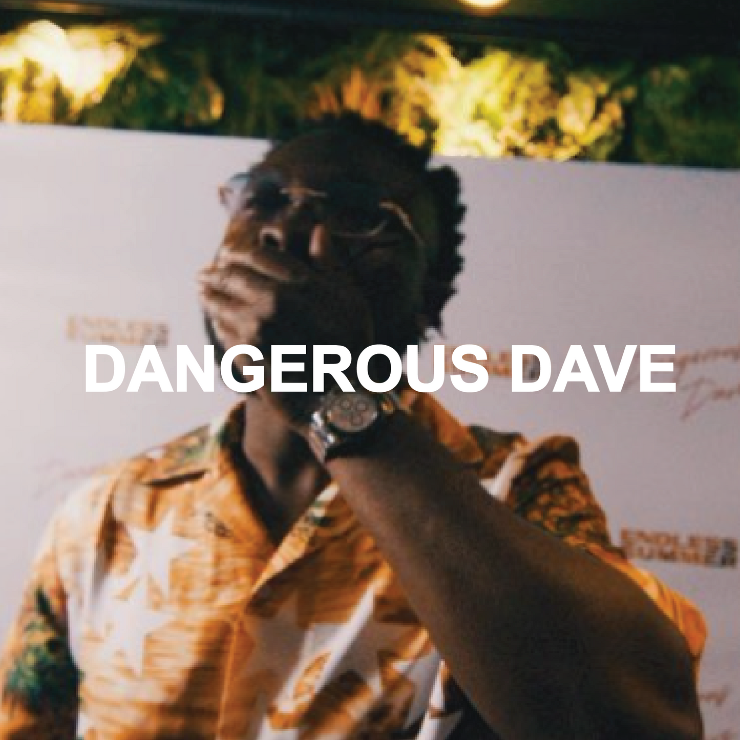 DANGEROUS DAVE